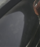 PowerRangers-1238.jpg